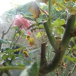 Il Parco